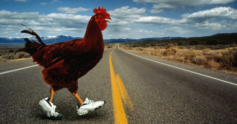 Chicken road joc - Descoperă Secretele Rezervate ale Jocului de Noroc Chicken Road în România